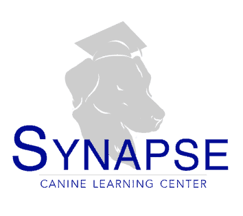 Synapse Canine Learning Center