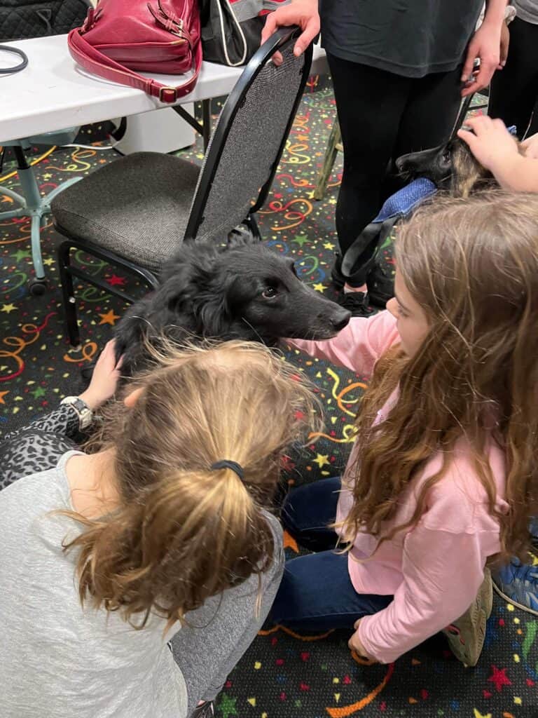 schoolkids petting a dog