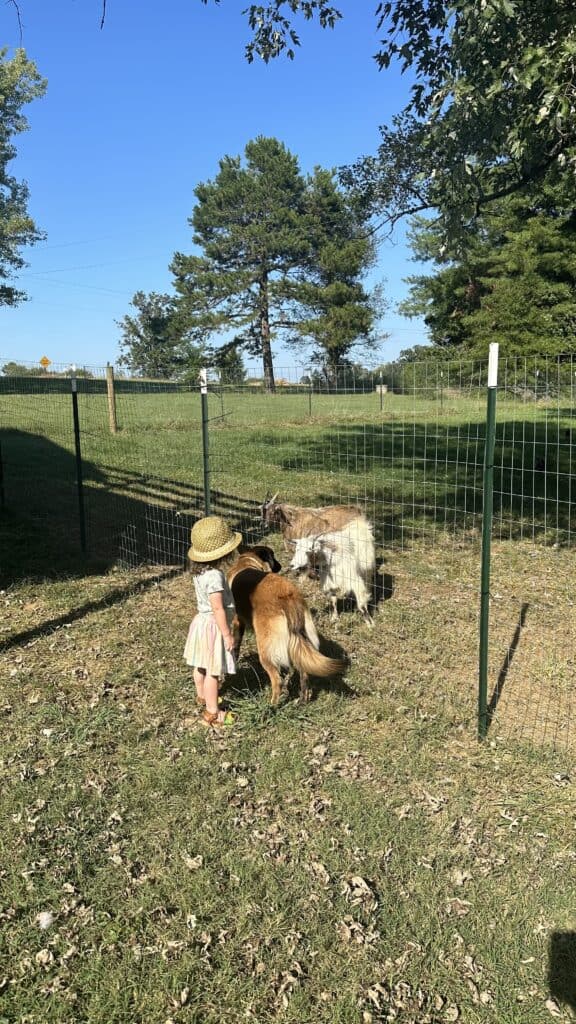 toddler with dog