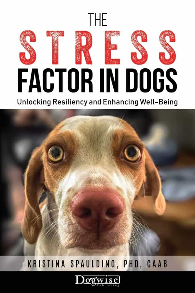 stress factor in dogs