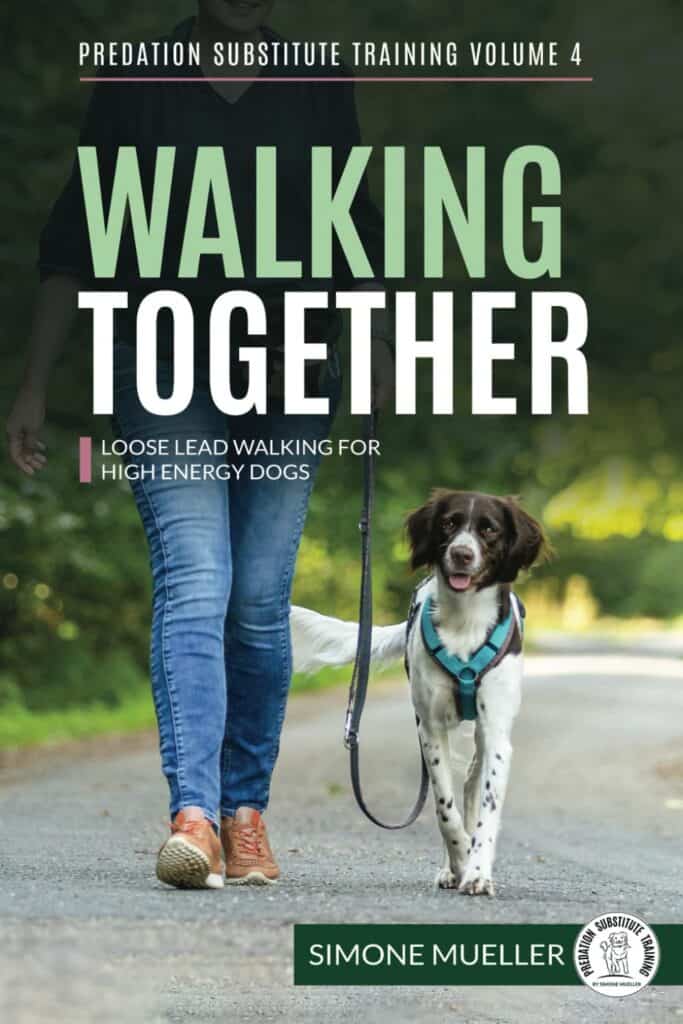 walking together simone mueller