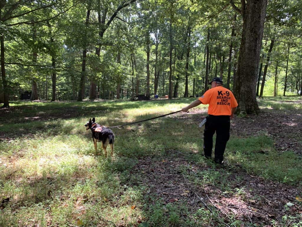 would your dog make a good sar k9