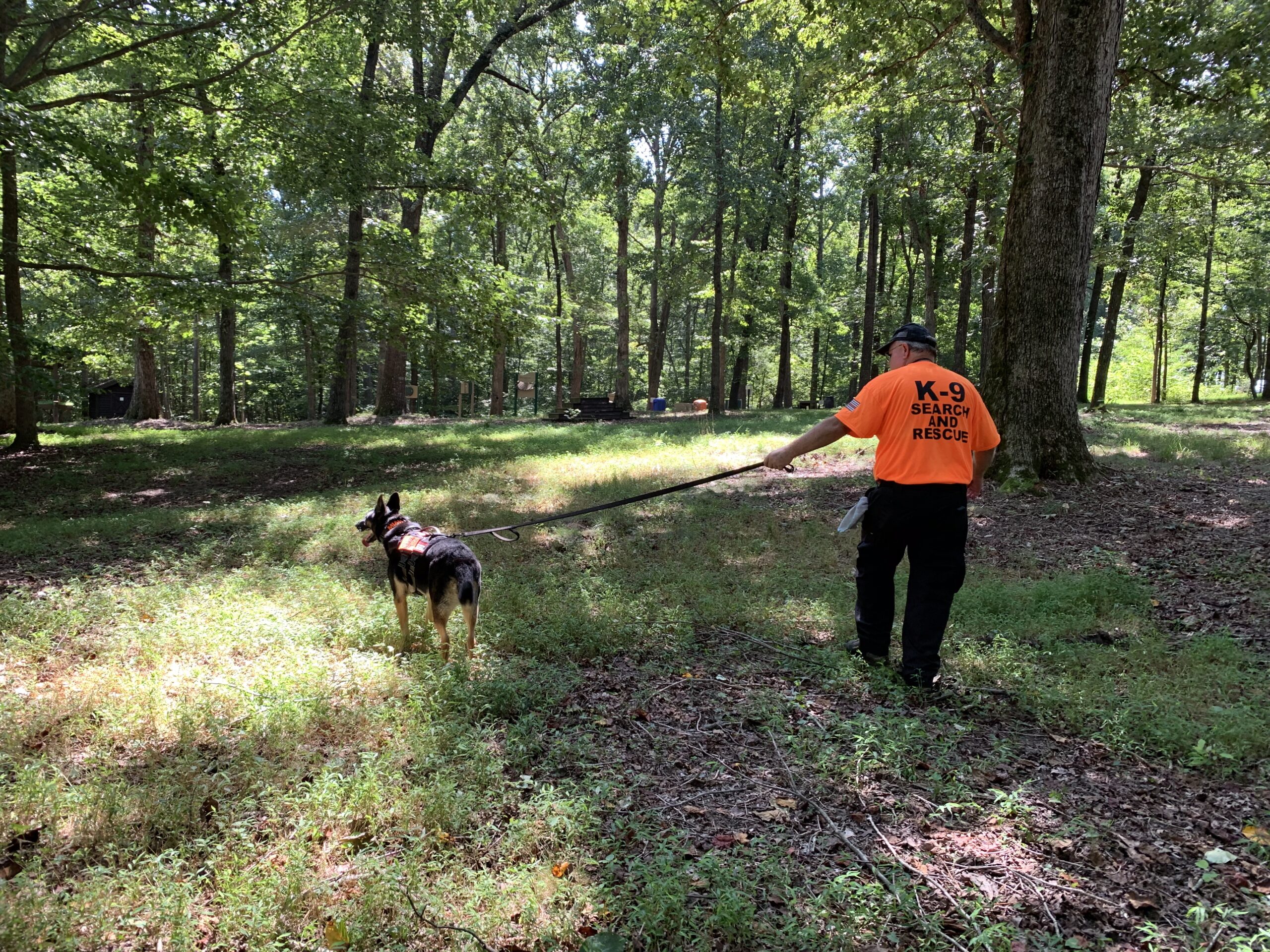 would your dog make a good sar k9