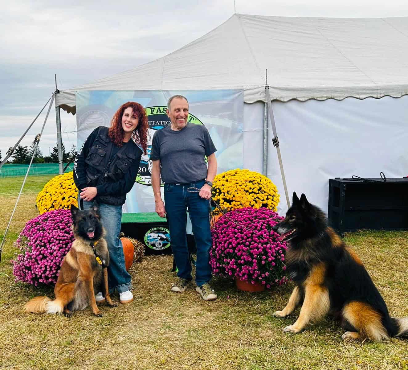 belgian tervurens at fast cat 2025