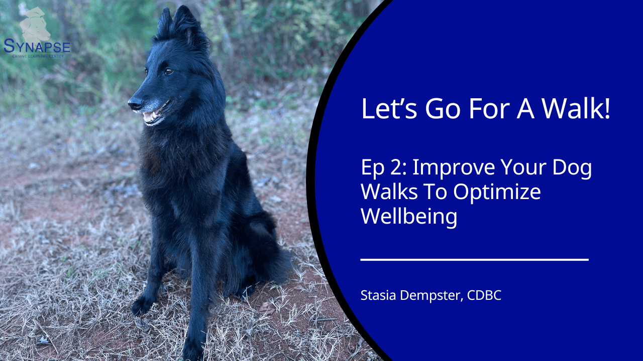 Let's Go For A walk Ep 2