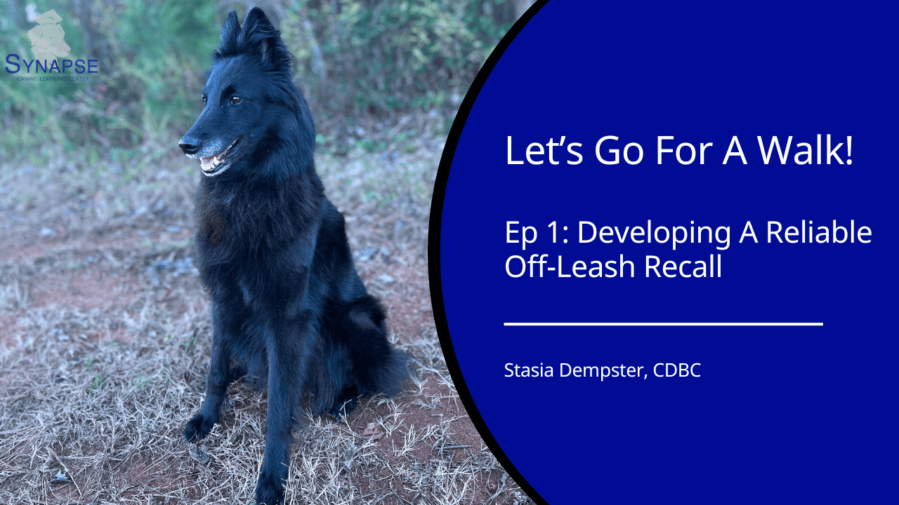 let's go for a walk ep 1