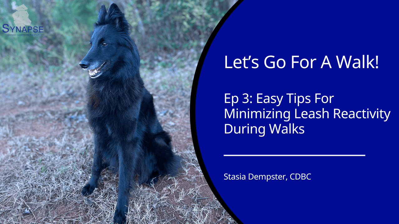 let's go for a walk ep 3