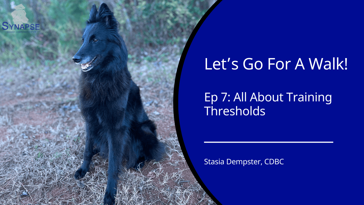 Let's Go For A walk Ep 7