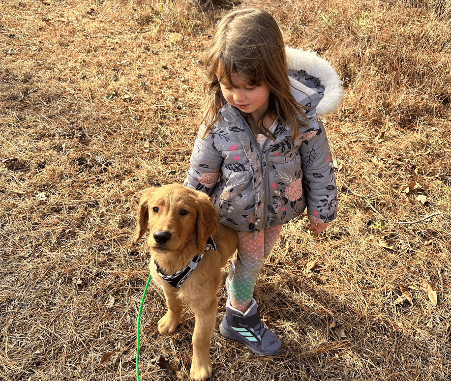children and dog safety