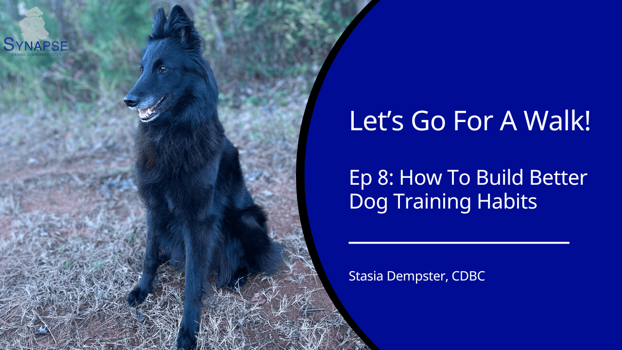 episode 8 building better dog training habits