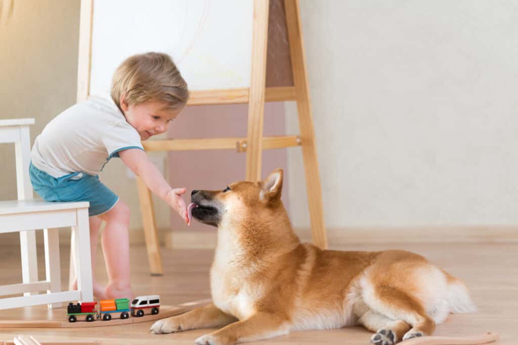 kid gently petting a dog