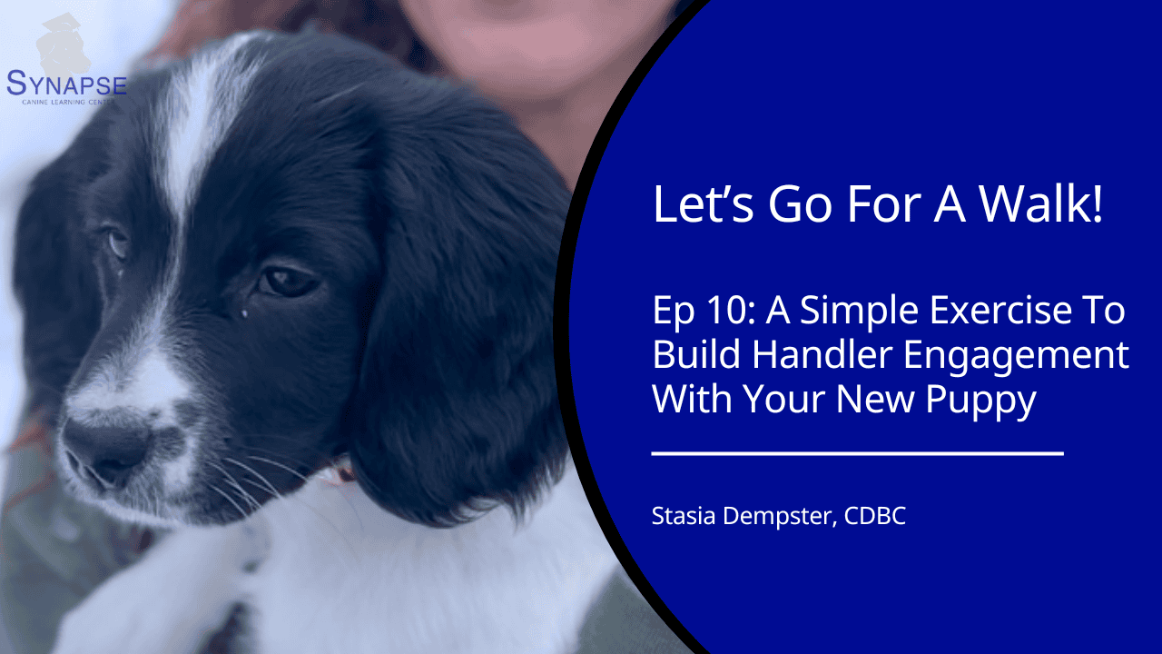 Let's Go For A walk Ep 10