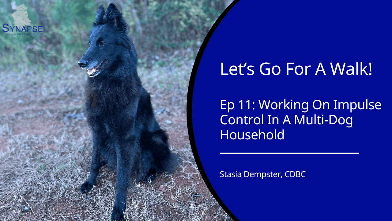 Let's Go For A walk Ep 11