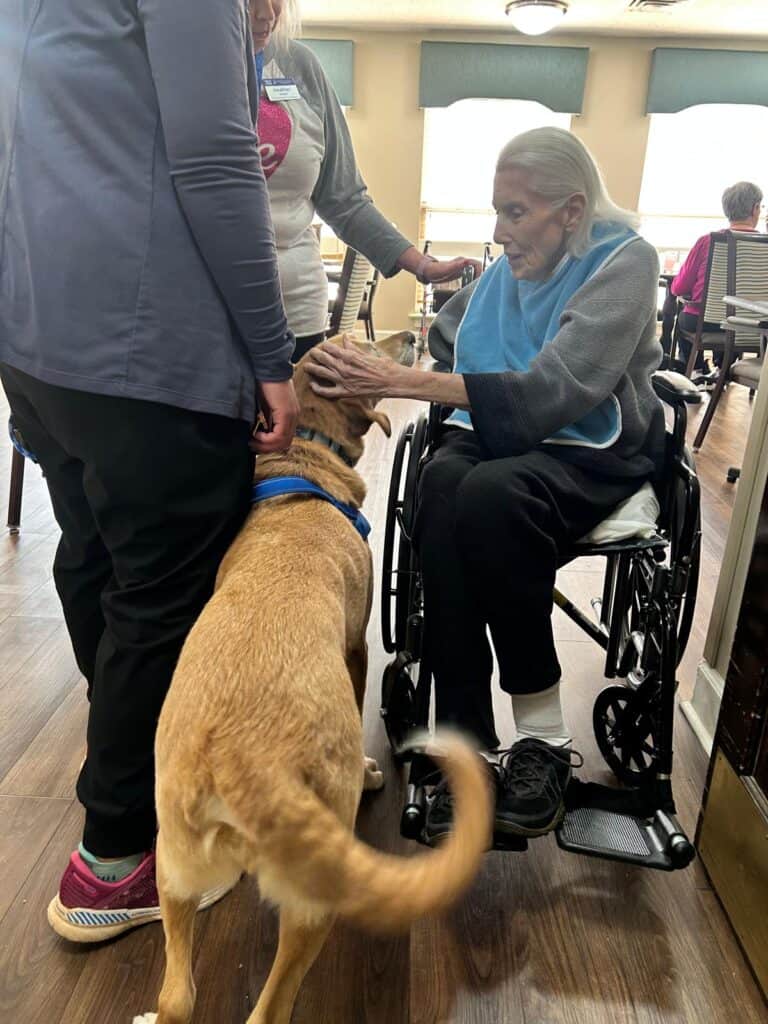 therapy dog at the nursing home