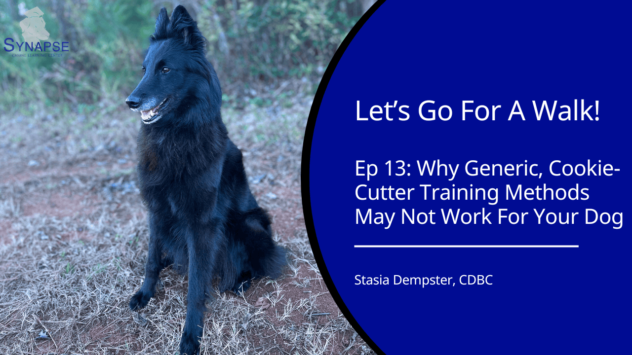 let's go for a walk ep 13