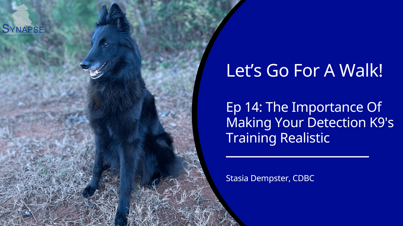 Let's Go For A walk Ep 14